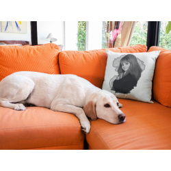 Poszewka na poduszkę -Hermiona i patronus