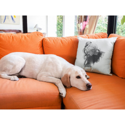 Poszewka na poduszkę - Draco i wąż