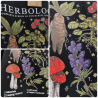 T-shirt - HERBOLOGY